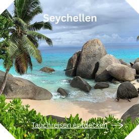 Tauchreise Seychellen