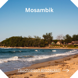 Tauchreise Mosambik