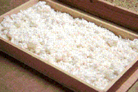 米麹(Koujiya Limited)