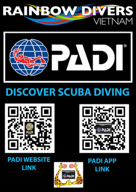 Rainbow Divers Vietnam Best PADI Dive Center, QR Code image for PADI Website and App link
