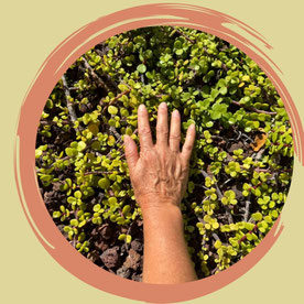 Facharzt für Kinder- und Jugendmedizin sowie Allgemeinmedizin Dr. Michael Seefried