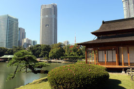 Teehaus, Teezeremonie, Hamarikyu Gardens, Japan, Tokio, japansicher Garten