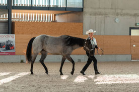 Showmanship Team *klick* auf Bild für Kurzfilm