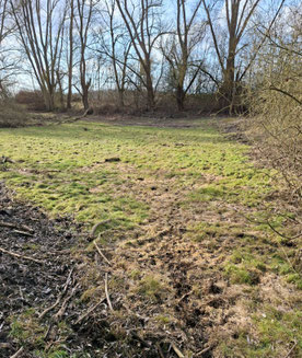 Teich in der Gröpelnkuhle