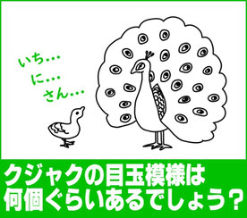 クジャクの目玉模様の数はいくつ？
