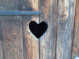 (Bildquelle: Pixabay)