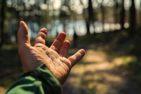 Waldbaden in Brandenburg