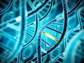 Redaktion, Text und Lektorat Simone Giesler - CRISPR / Cas