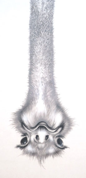 Vogel-Strauß-Taktik, Kopf in den Sand, Augen zu und abwarten