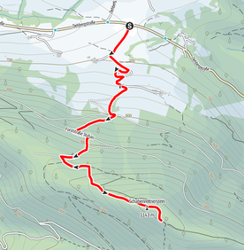 Schabenreitnerstein, Almtal, Wanderung