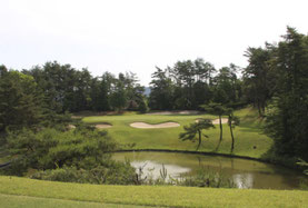 芸南カントリークラブ (名物ホール) 7番 PAR3