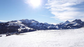 Skiweekend Jaunpass, 29./30. Januar 2022