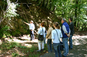 Wohnbiologie und Geovital Geobiologie Kurs