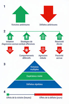 Défense personnelle et expérience du combat - Impacts asymétriques des victoires et défaites