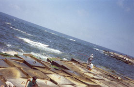 Alexandrië-Egypte-Middellandse-zee-kust