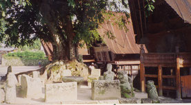 Samosir-Toba-meer-Sumatra-Indonesië-huizen-traditioneel
