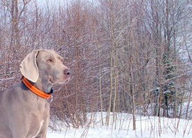 MARTS 2010