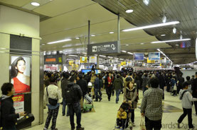 写真撮ってる人、すごく多いです