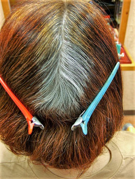HQヘナとシコン色で2度染めから4ヶ月後