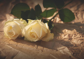 two white roses