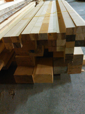 出荷前のベイヒバ