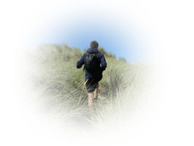 Site de baboon-trips !
