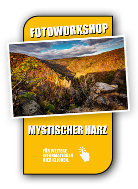 Fotoworkshop Landschaftsfotografie im Harz, mit Sebastian Kaps