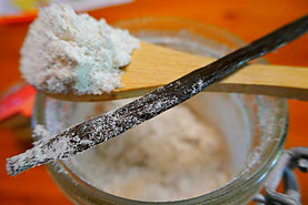 Vanillezucker selbstgemacht mit Birkenzucker