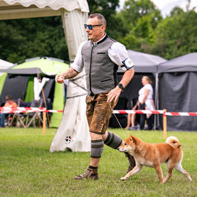 Terra Astreya Dilan Rai, Erfolgreich Shiba, CACIB Premstätten Hundeausstellung, Richter Erwin Deutscher, Richter Monika Petermayer, Dog Handling Eduard Vorderleitner,