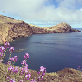  Ponta de São Lourenço