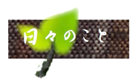 季を描く　大野純子