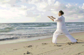 Tai Chi devenir-zen.fr