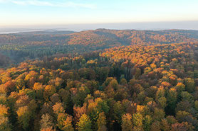 Foto von ITN