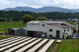 夏の寒天工場の風景