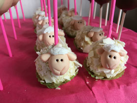 Schäfchen Cakepops