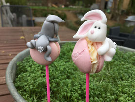 Häschen auf Macarons