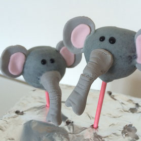 Elefanten Cakepops