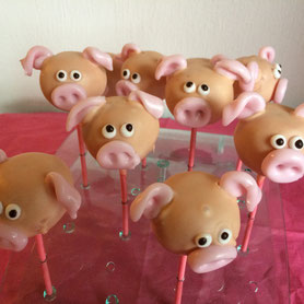Schweine Cakepops