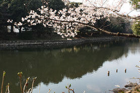 三ツ池公園