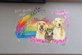 Wandmalerei Fassade Fassadenmalerei Tiere Abschied Regenbogenbrücke Hund Katze Langenweddingen Sülzetal Landkreis Börde Sachsen-Anhalt