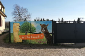 Wandmalerei Fassade Fassadenmalerei Alpakazeit Büschdorf Christoph von Wodtke Streichelzoo Alpakawanderung Alpakas Wanderung Halle an der Saale Kinder Ausflug