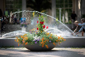 Wasserspiele vor der Wandelhalle