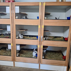 Alle Boxen mit zusätzlichen Sitzbrett