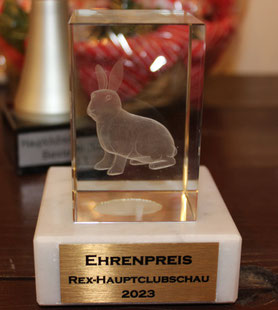 Ein schöner Ehrenpreis