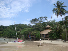 Ko-Chang-eiland-palmboom-strand-hut-Thailand
