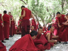 Yangpachen-Tibet-China-klooster-muren-yak
