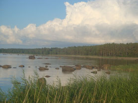 Lahemaa-nationaal-park-Altja-rotsen-kust-oever-riet-bos-Estland