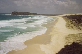 Fraser-Island-Sand-Australia-Hervey-Bay-Jeep-strand-Dingo