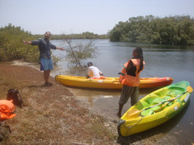 Toubakouta-kano-Sine-Saloum-delta-Nationaal-park-mangrove-Senegal