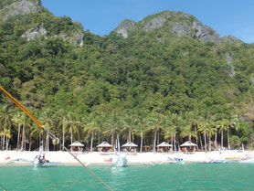 Bacuit-archipel-El-Nido-strand-palmboom-zee-helder-Filipijnen